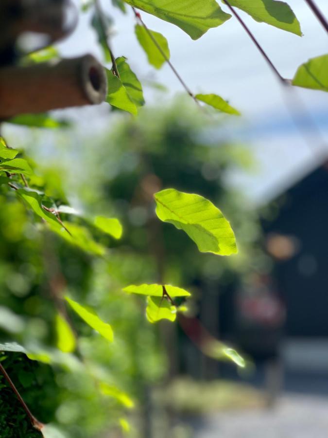 Bed & Breakfast Karakter Den Dungen ภายนอก รูปภาพ