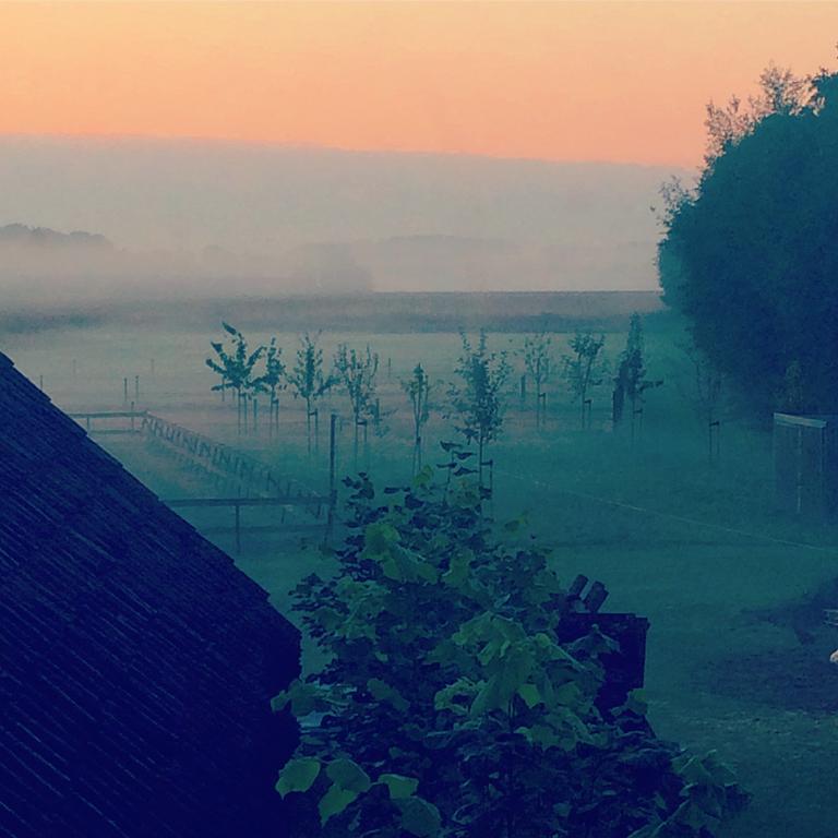 Bed & Breakfast Karakter Den Dungen ภายนอก รูปภาพ
